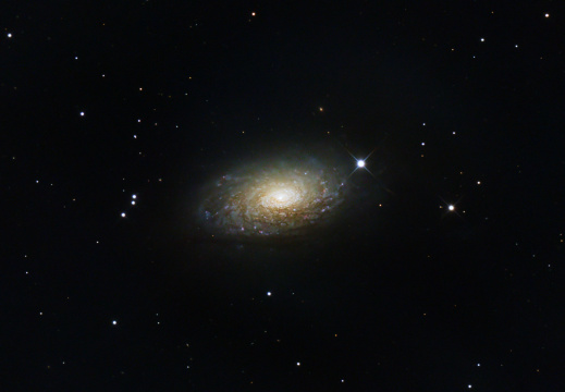 M 63 - Die Sonnenblumen-Galaxie